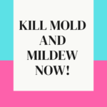 Do You Have A Mold Problem?