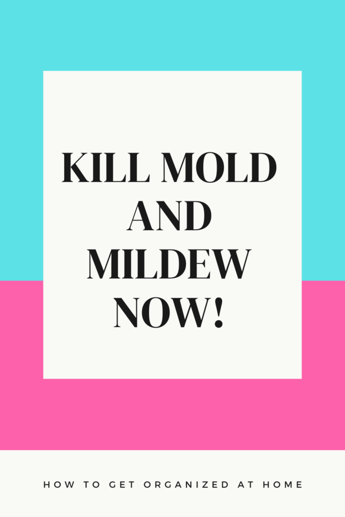 Do You Have A Mold Problem?