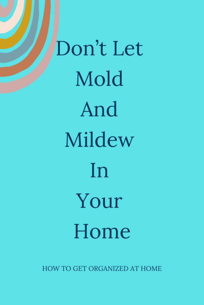 Act Today And Kill The Mold Now!