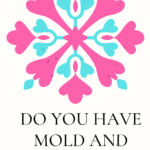 Don’t Let Mold And Mildew Ruin Your Home