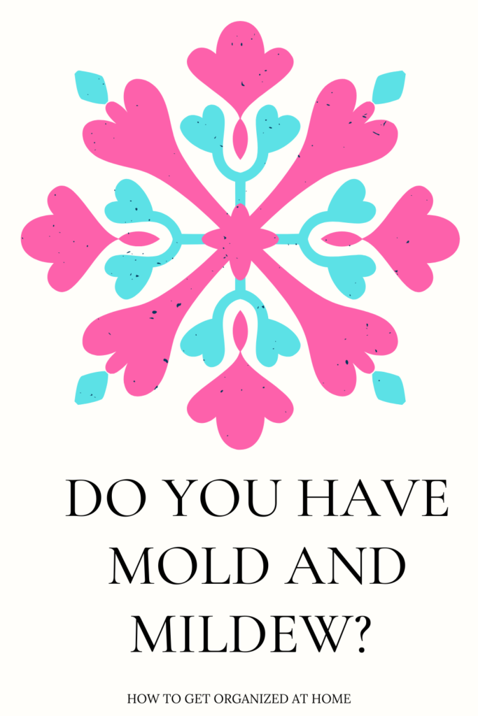 Don’t Let Mold And Mildew Ruin Your Home