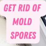 Simple Tips To Kill Those Spores