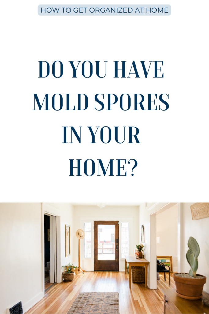 Top Mold Spores Killing Tips