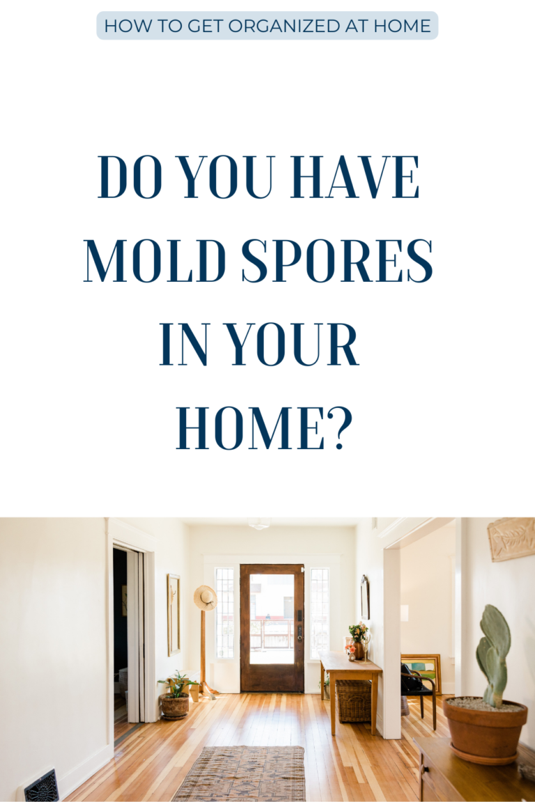 Does Bleach Kill Mold Spores? How To Get Organized At Home