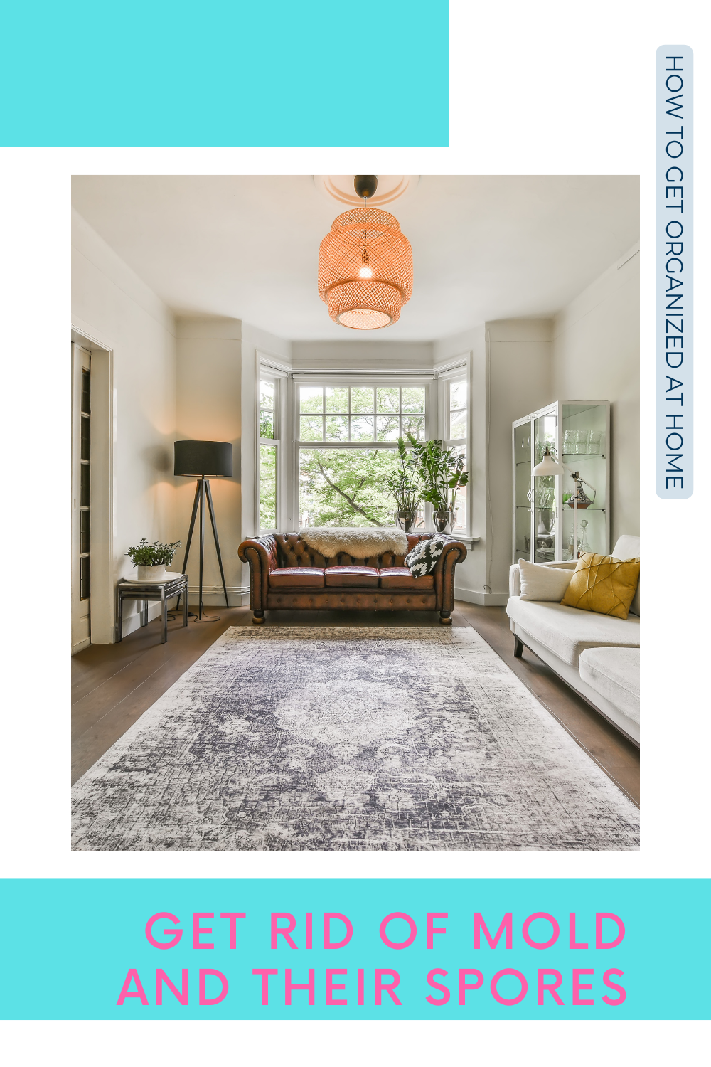 Does Bleach Kill Mold Spores? How To Get Organized At Home