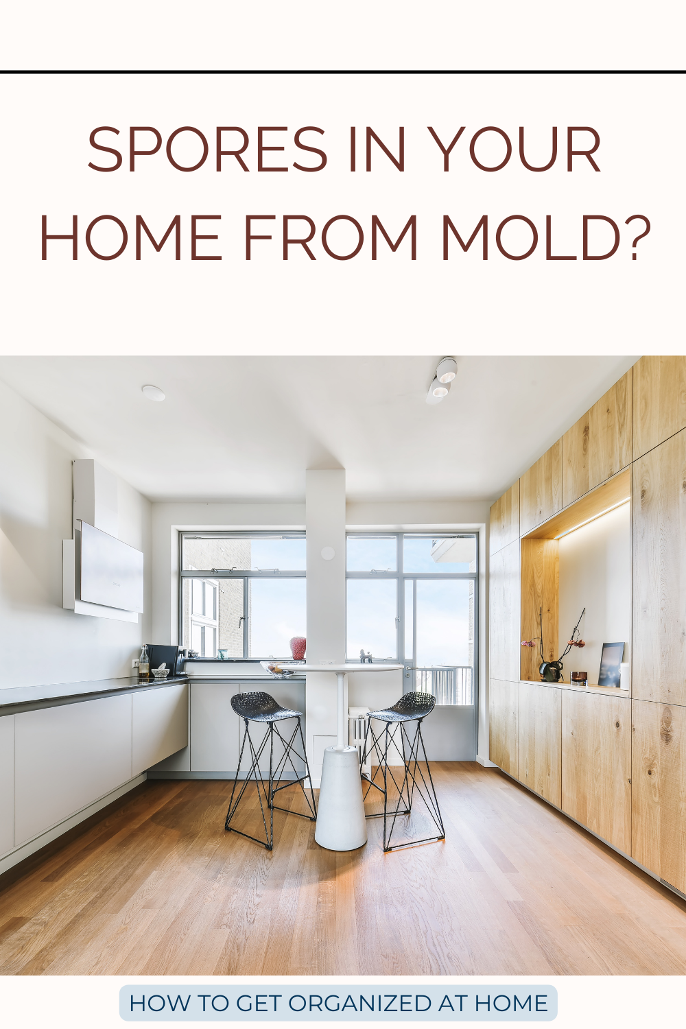 Does Bleach Kill Mold Spores? How To Get Organized At Home