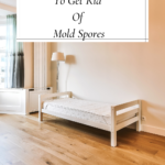 Do You Have Mold Spores In Your Home