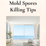 Get On Top Of The Mold Spores In Your Home