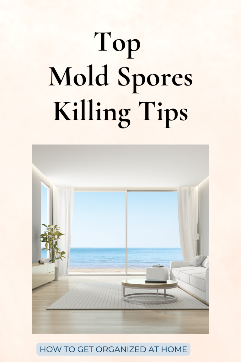 Does Bleach Kill Mold Spores? How To Get Organized At Home
