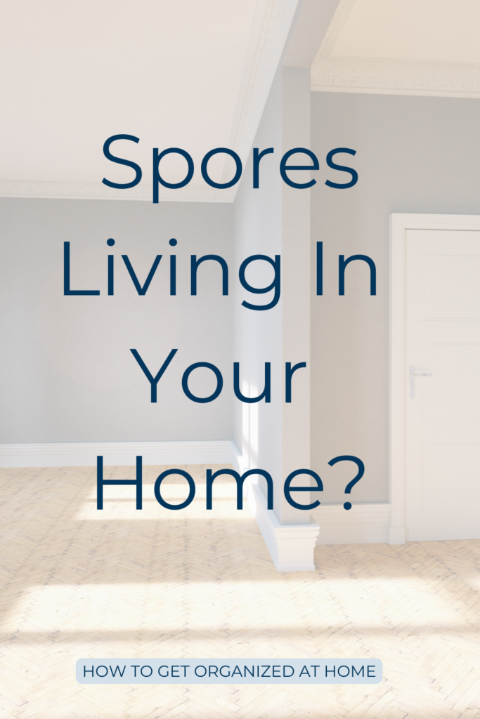 Get Rid Of Mold And Their Spores