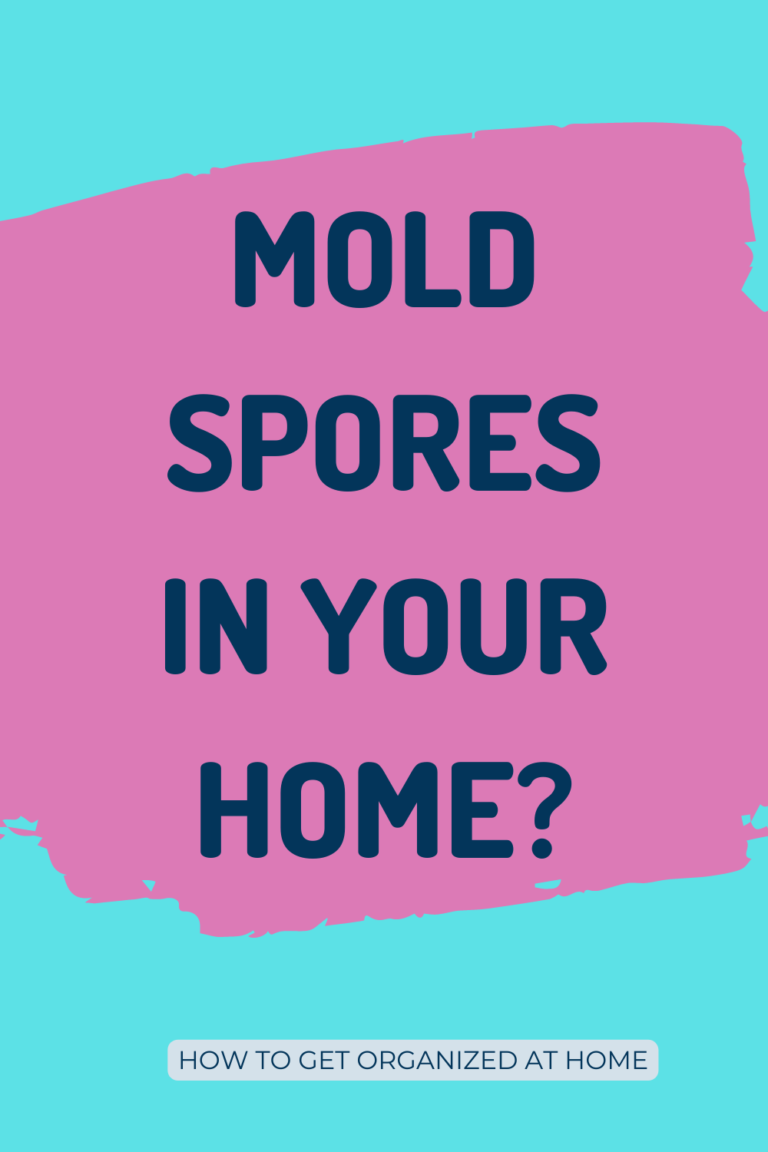 Does Bleach Kill Mold Spores? How To Get Organized At Home