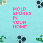 mold spores in your home