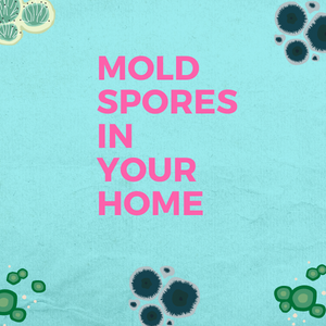 Does Bleach Kill Mold Spores?
