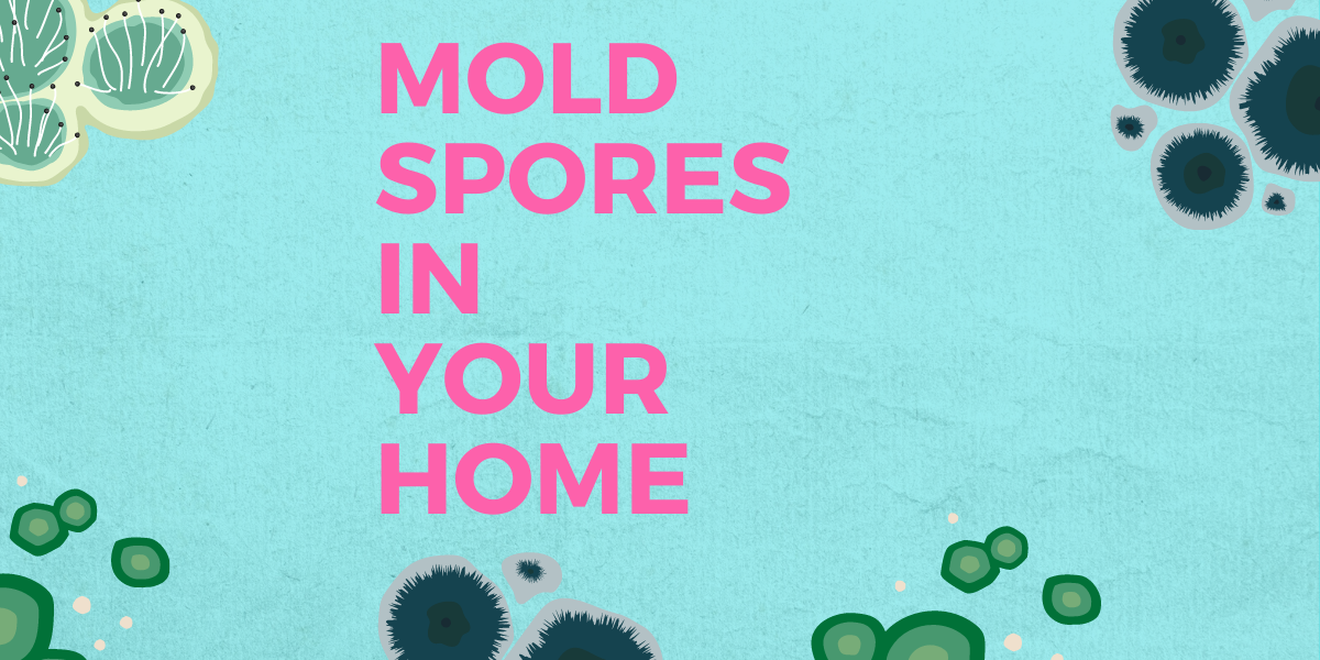 Does Bleach Kill Mold Spores? How To Get Organized At Home