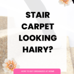 Do You Have Pet Fur In Your Stair Carpet?