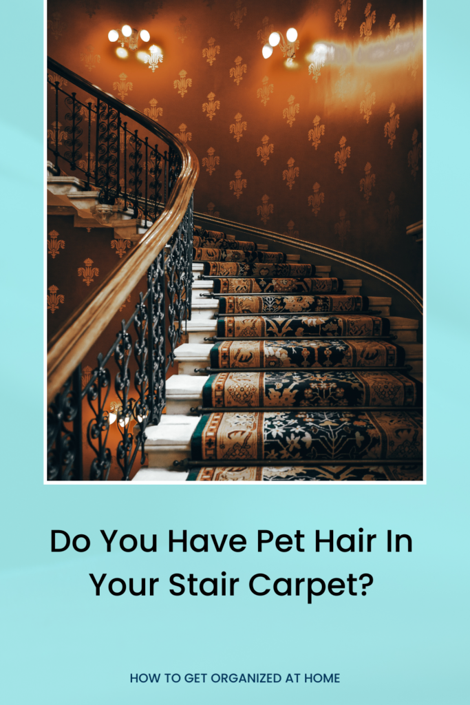 Top Tips For Removing Pet Hair From Carpets