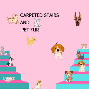 how to keep carpet stairs clean dog hair