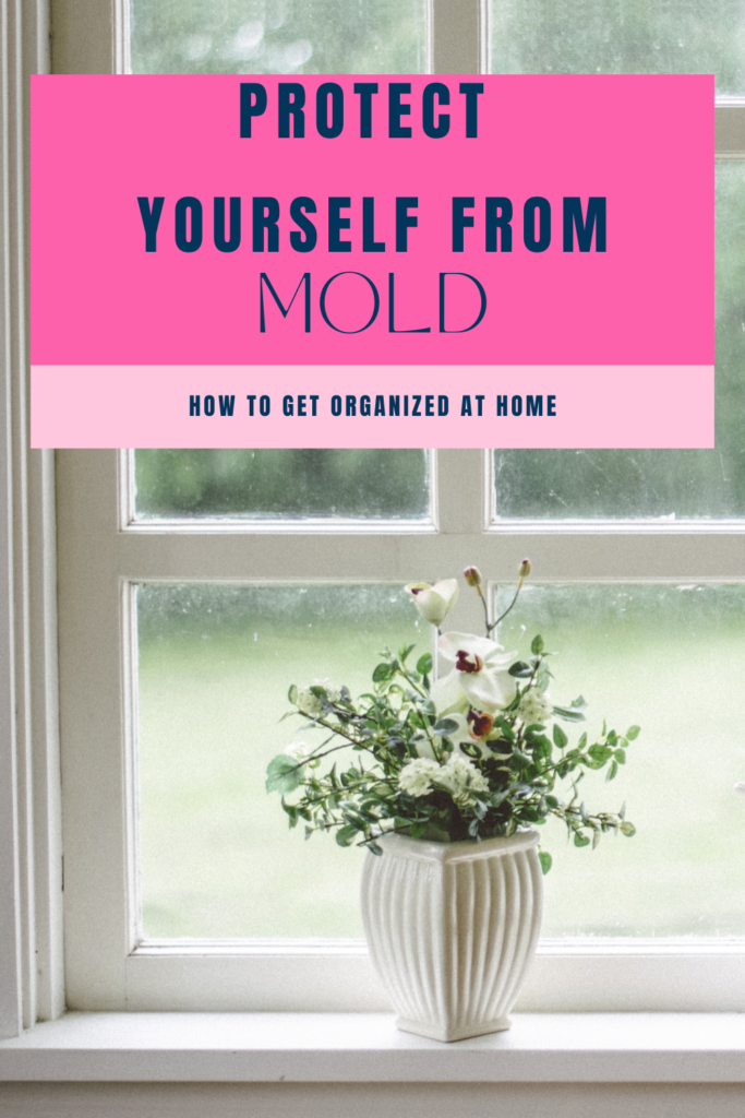 protect yourself from mold