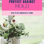 spray to protect against mold