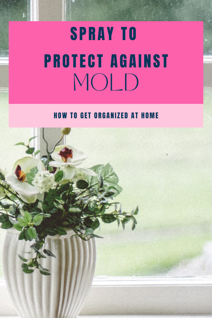 spray to protect against mold