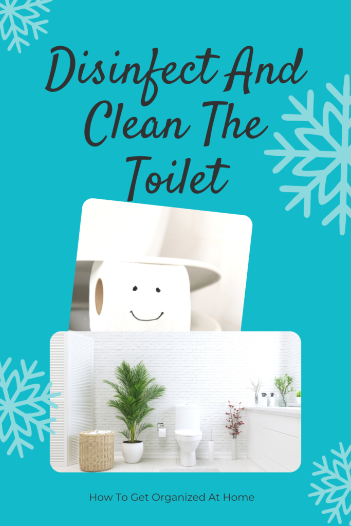 Disinfect And Clean Toilet