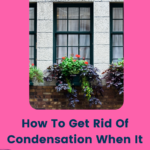 How To Get Rid Of Condensation When It Appears