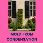 Tips For Moms To Kill Mold
