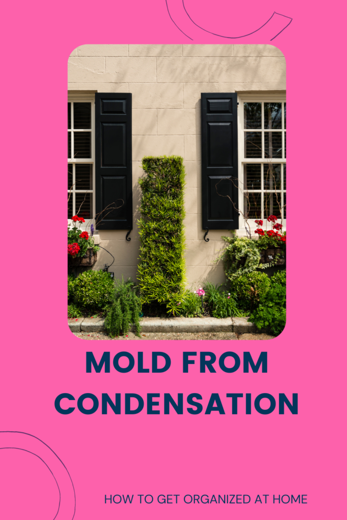 Tips For Moms To Kill Mold