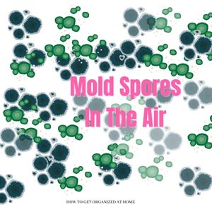 How To Get Rid Of Mold Spores In The Air Naturally