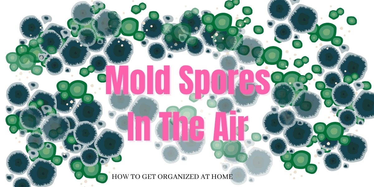 How To Get Rid Of Mold Spores In The Air Naturally