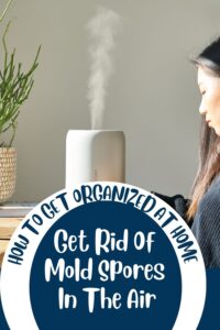 How To Get Rid Of Mold Spores In The Air Naturally