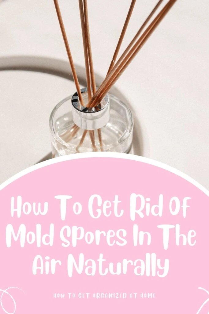 How To Get Rid Of Mold Spores In The Air Naturally