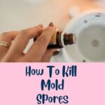 How To Kill Mold Spores Naturally