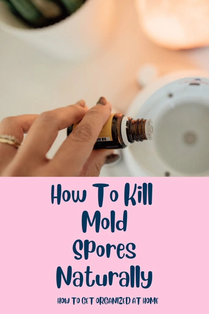 How To Kill Mold Spores Naturally