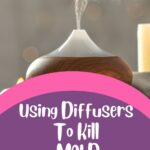 Using Diffusers To Kill Mold