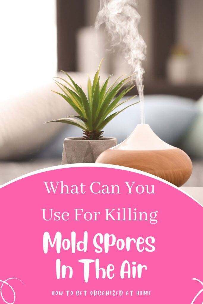What Can You Use For Killing Mold Spores In The Air