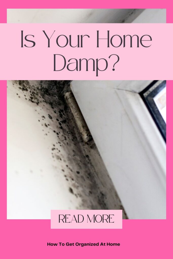 Is Your Home Damp?