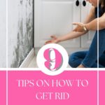 9 Tips On How To Get Rid Of Mold