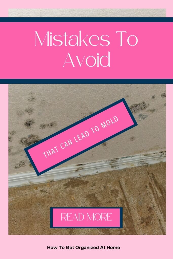 Mistakes To Avoid That Can Lead To Mold