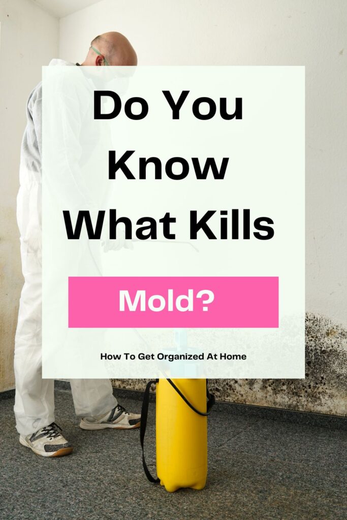 Do You Know What Kills Mold?