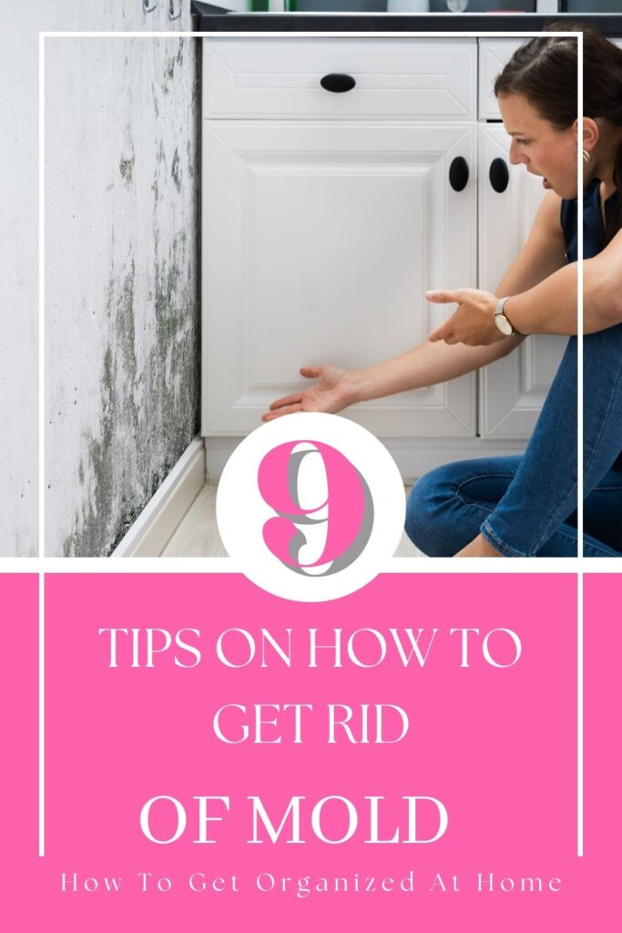 9 Tips On How To Get Rid Of Mold