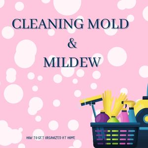 How Do I Get Rid Of Mold And Mildew?