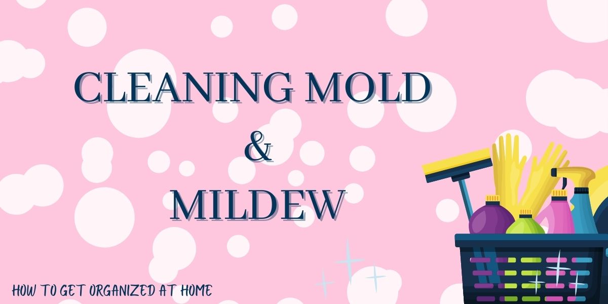 how-do-i-get-rid-of-mold-and-mildew