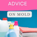 Tips And Advice On Mold vs. Bleach