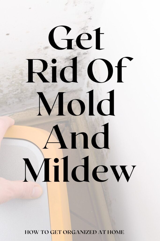 Get Rid Of Mold And Mildew