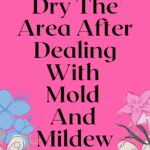 Completely Dry The Area After Dealing With Mold And Mildew