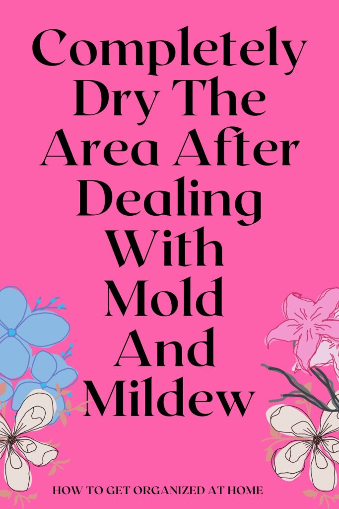 Completely Dry The Area After Dealing With Mold And Mildew