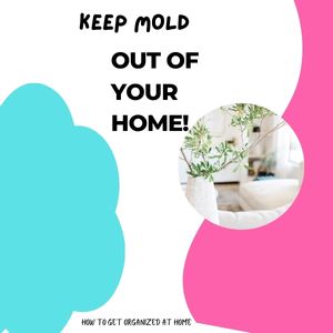 9 Tips On How to Keep Mold From Coming Back