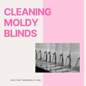 How To Clean Moldy Fabric Blinds