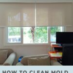 How To Clean Mold On Fabric Blinds